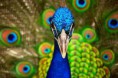 /album/fotogaleria-inicio/images-2-jpg/